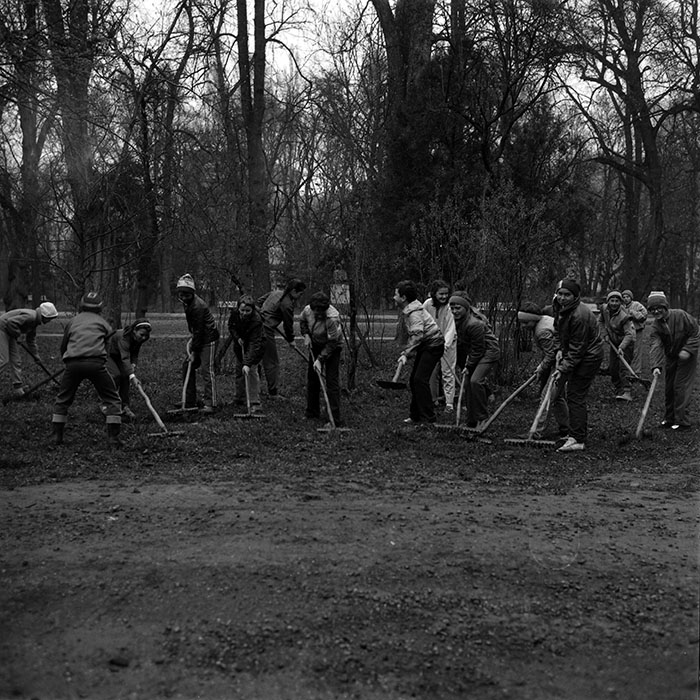 minerva_Constructii_c2r2_006