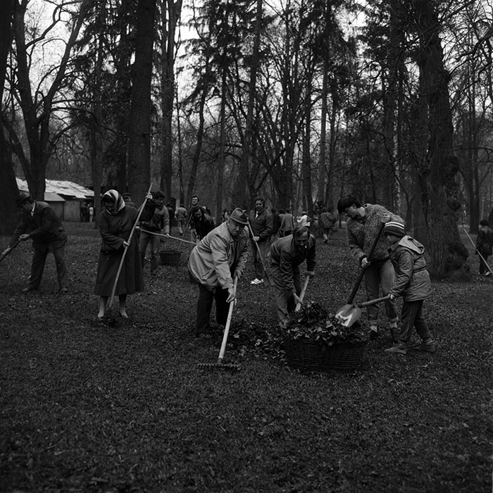 minerva_Constructii_c2r2_007