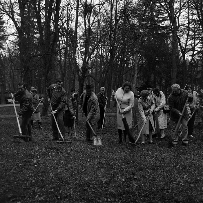 minerva_Constructii_c2r2_011