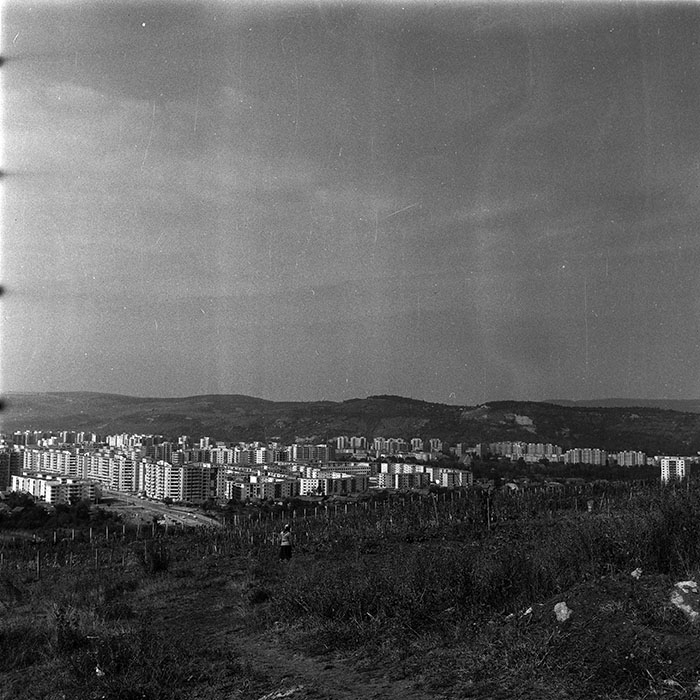 minerva_Constructii_c2r3_005