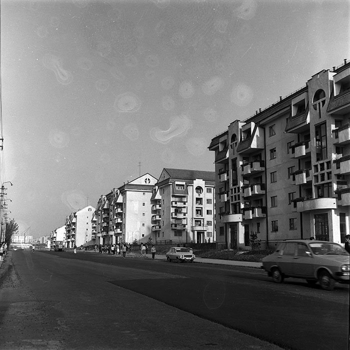 minerva_Constructii_c2r5_019