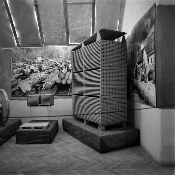 minerva_Constructii_c2r5_024