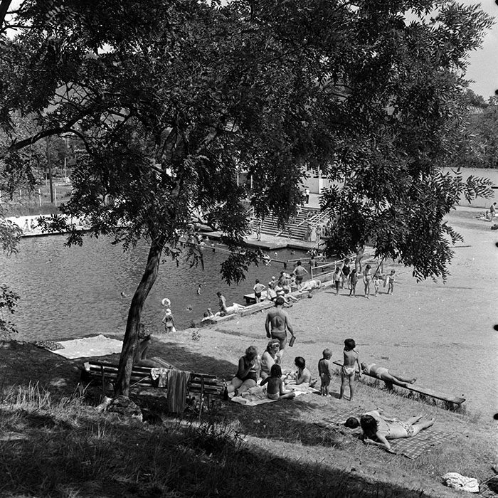 minerva_Constructii_c3r2_017