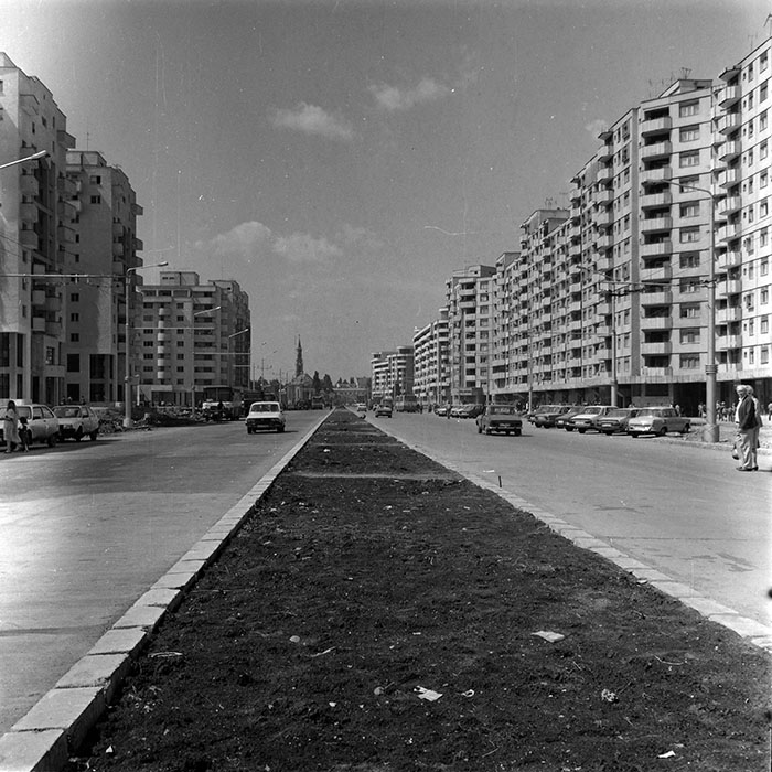 minerva_Constructii_c3r5_003