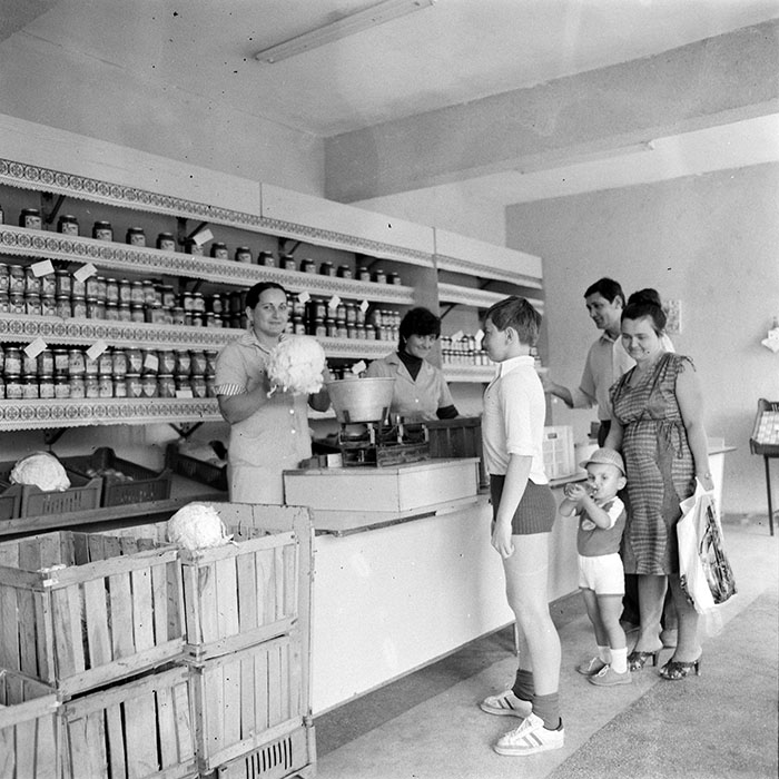 minerva_Constructii_c5r2_007