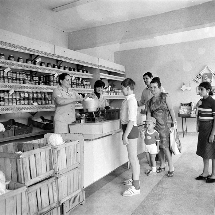 minerva_Constructii_c5r2_008