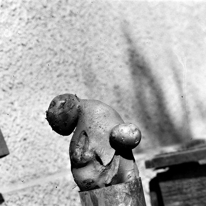 minerva_Constructii_c5r2_014