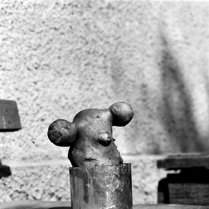 minerva_Constructii_c5r2_015