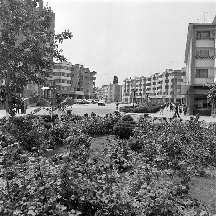 minerva_Constructii_c6r3_001