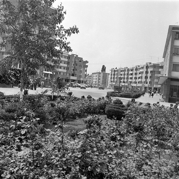 minerva_Constructii_c6r3_002