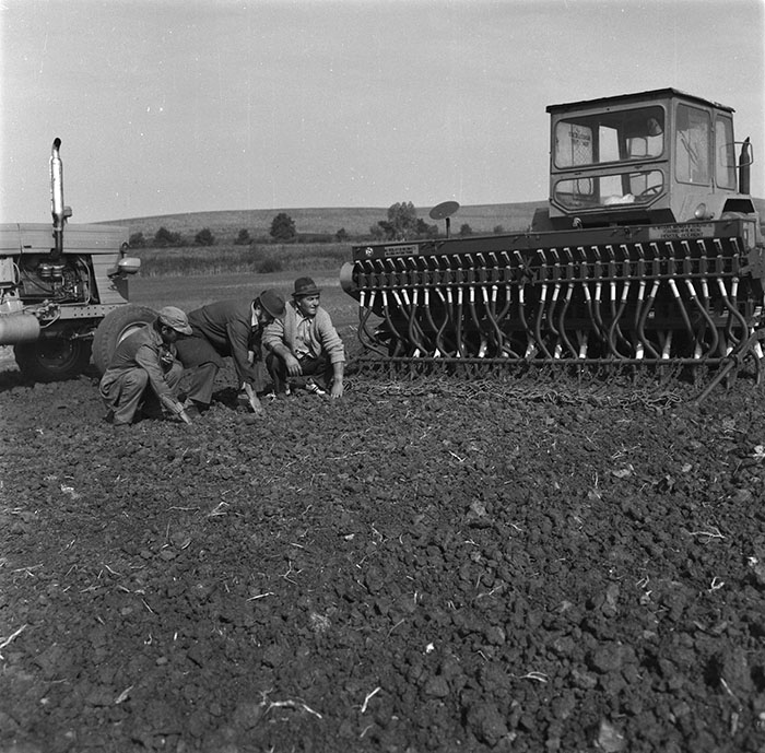 minerva_agricultura_1_c10r2_001