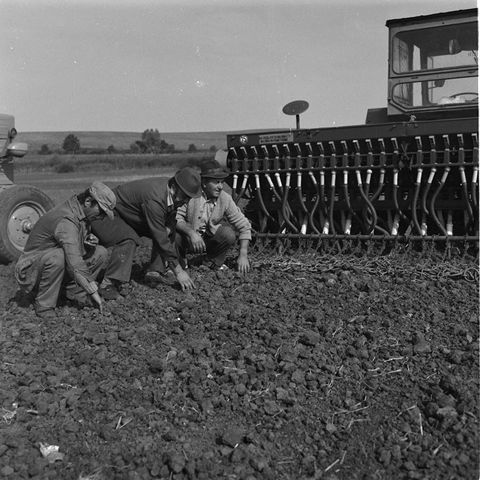 minerva_agricultura_1_c10r2_002