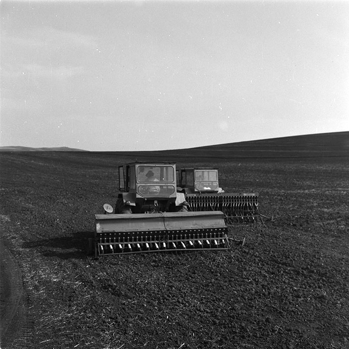 minerva_agricultura_1_c10r2_007