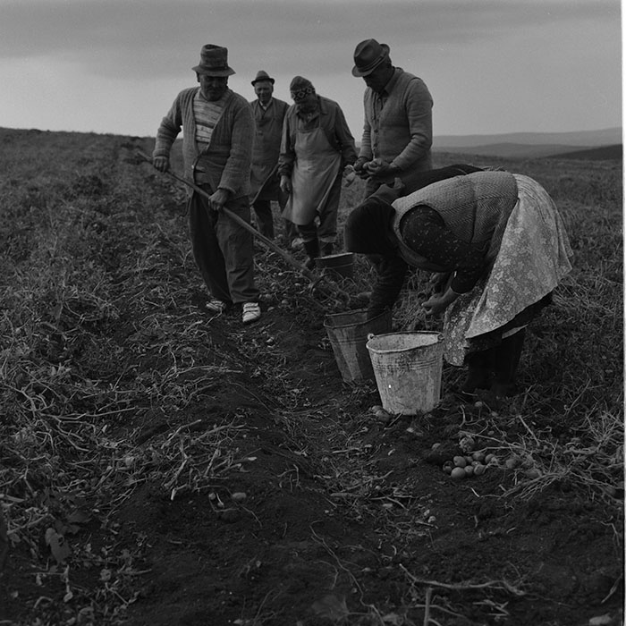 minerva_agricultura_1_c10r2_014