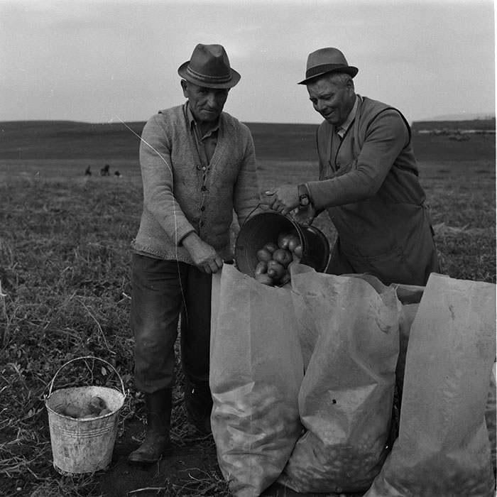 minerva_agricultura_1_c10r2_017