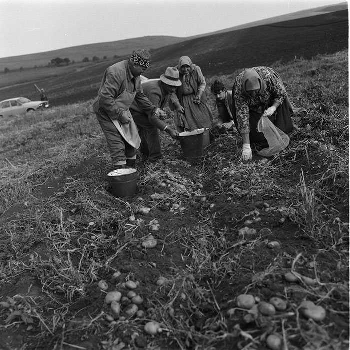 minerva_agricultura_1_c10r2_018