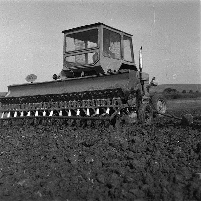 minerva_agricultura_1_c10r2_019