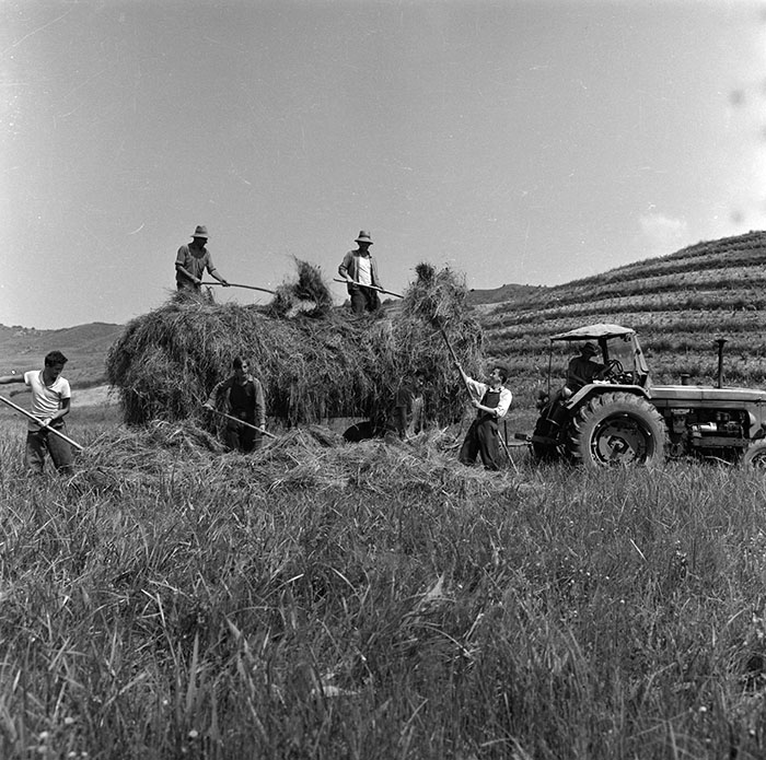 minerva_agricultura_1_c10r3_001