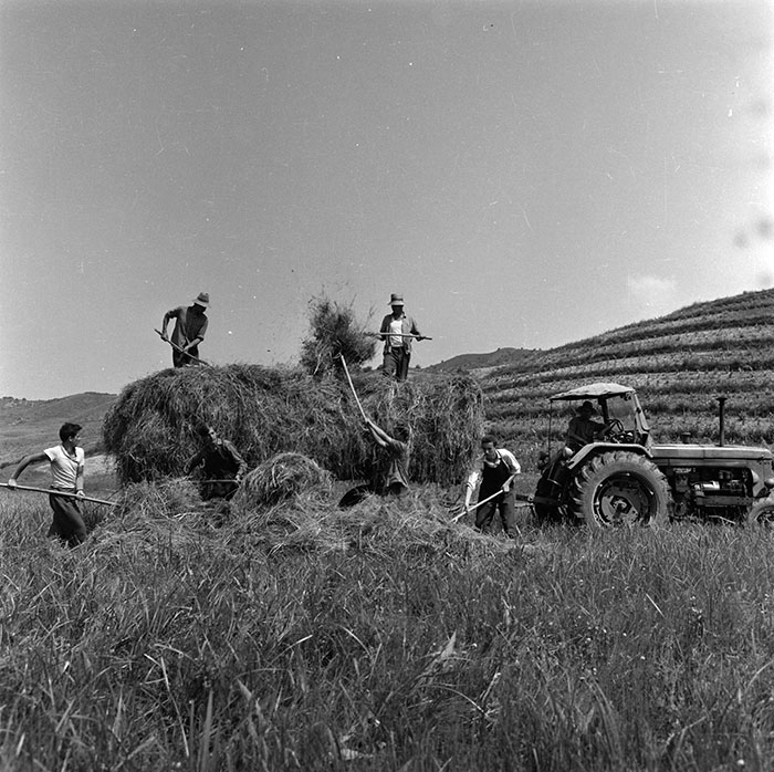 minerva_agricultura_1_c10r3_002