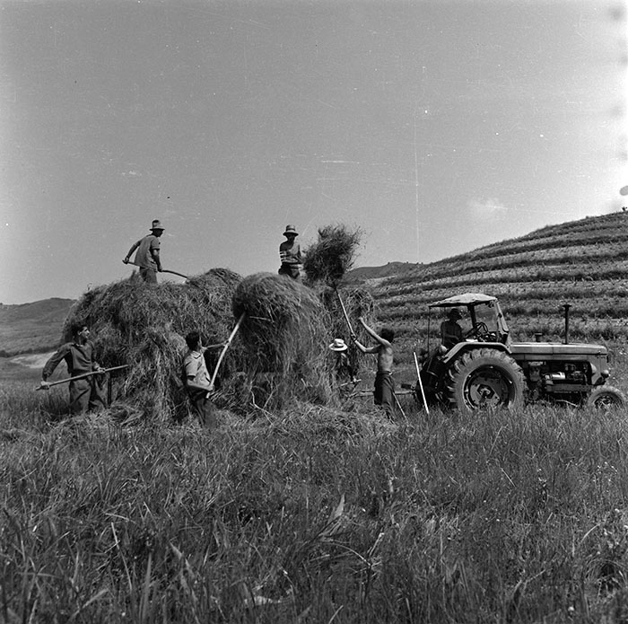 minerva_agricultura_1_c10r3_003