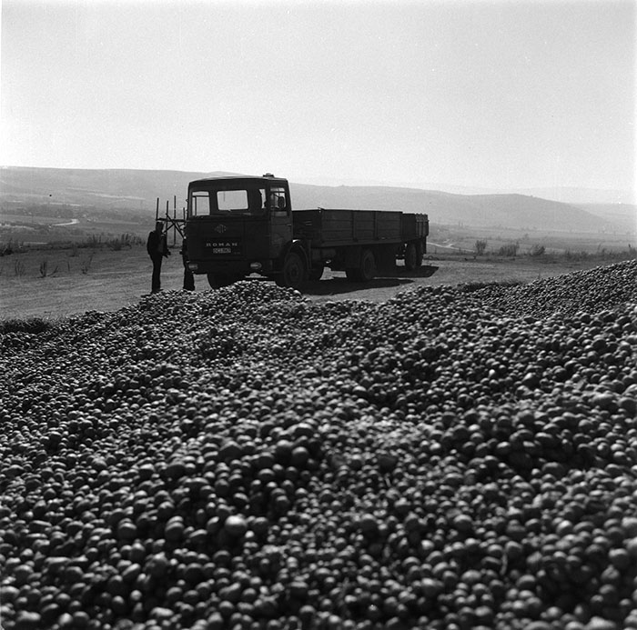 minerva_agricultura_1_c1r1_002