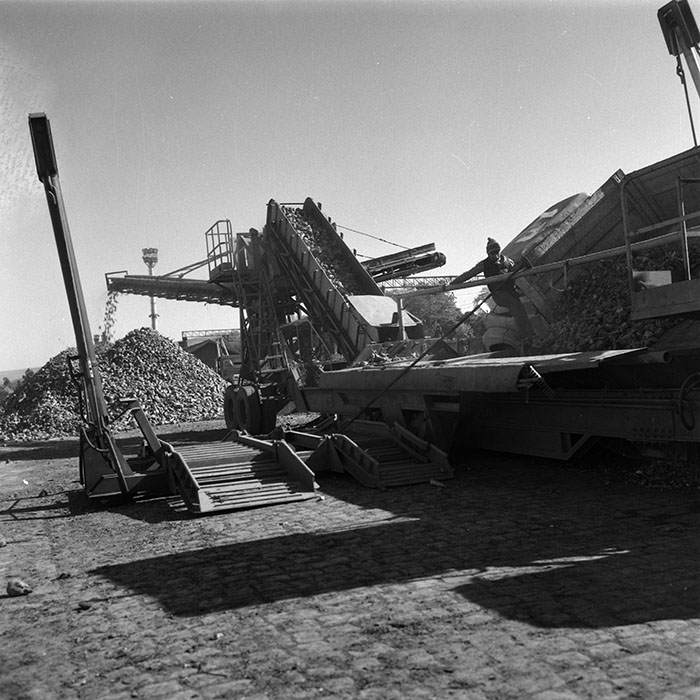 minerva_agricultura_1_c1r1_004