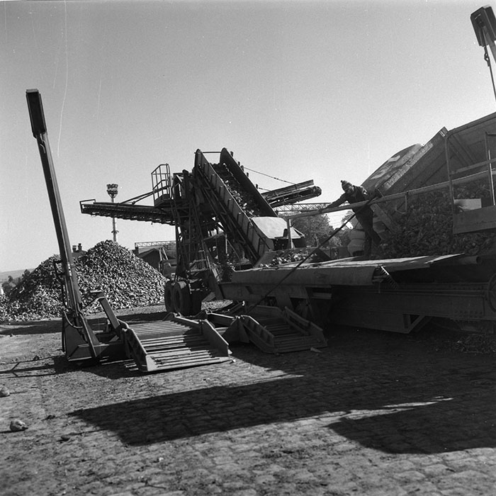 minerva_agricultura_1_c1r1_005