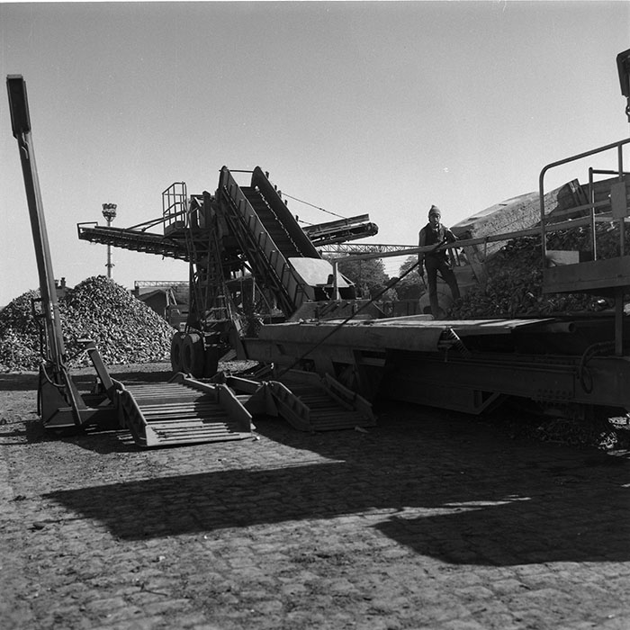 minerva_agricultura_1_c1r1_006