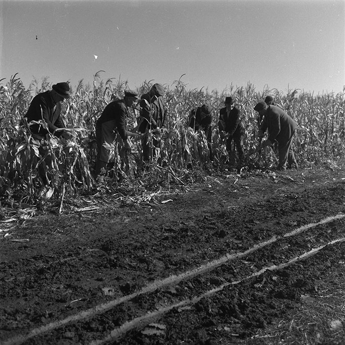 minerva_agricultura_1_c1r2_003