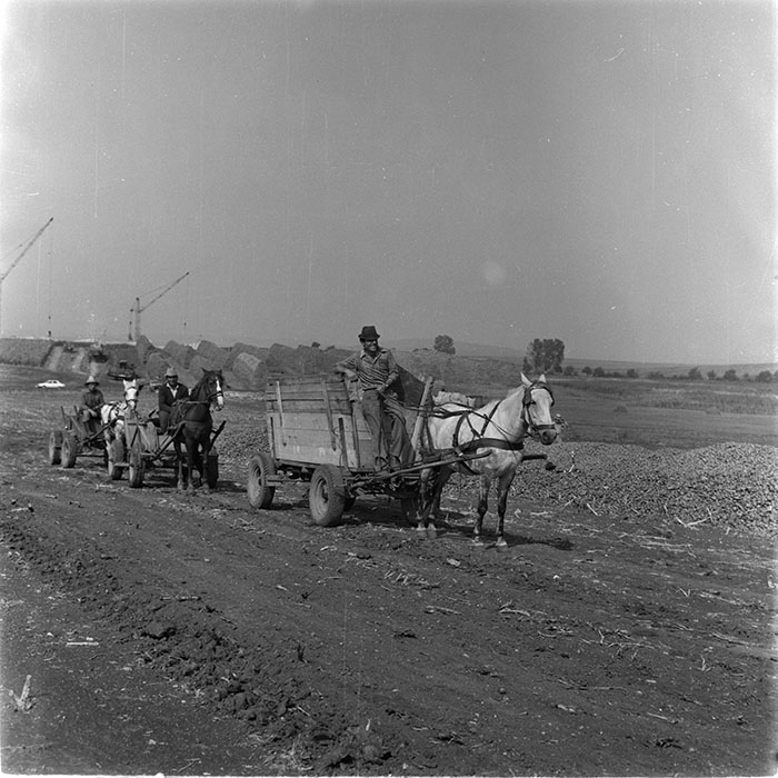 minerva_agricultura_1_c1r3_001