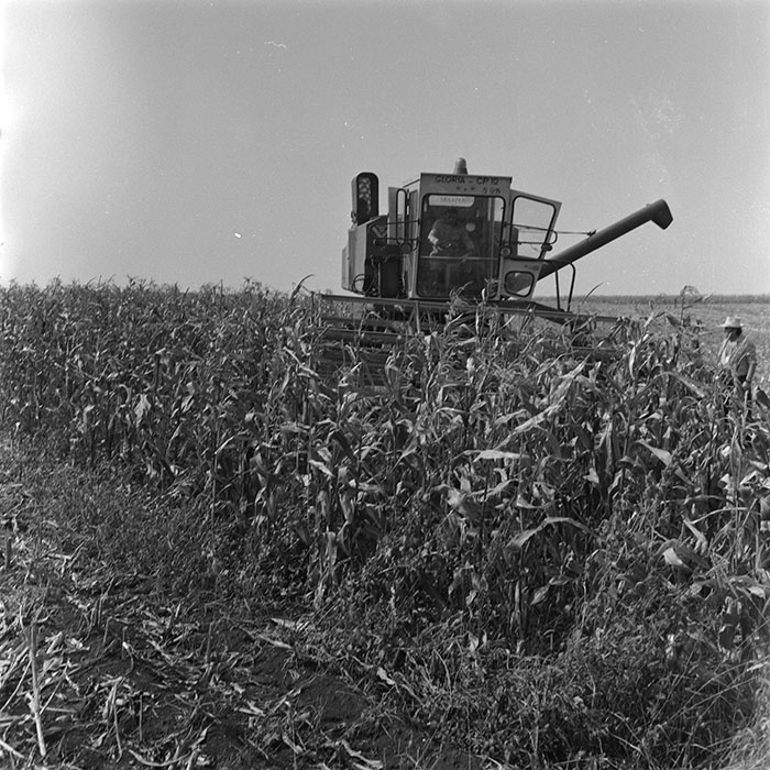 minerva_agricultura_1_c1r3_002