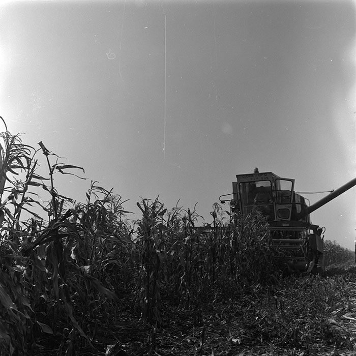 minerva_agricultura_1_c1r3_003