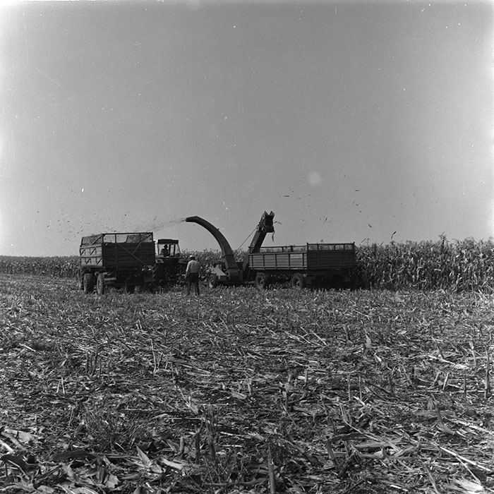 minerva_agricultura_1_c1r3_004