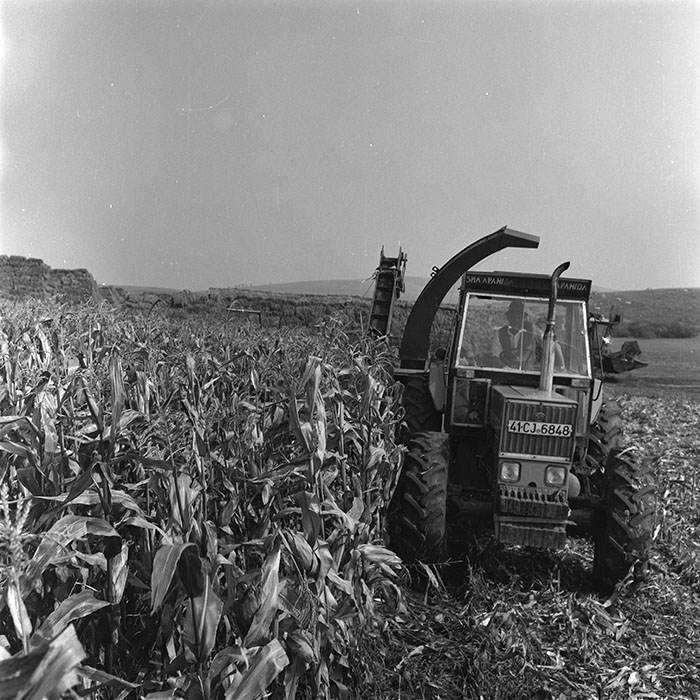 minerva_agricultura_1_c1r3_005