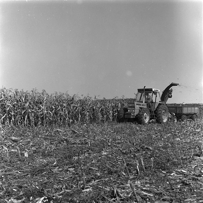 minerva_agricultura_1_c1r3_006