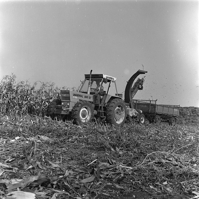 minerva_agricultura_1_c1r3_007