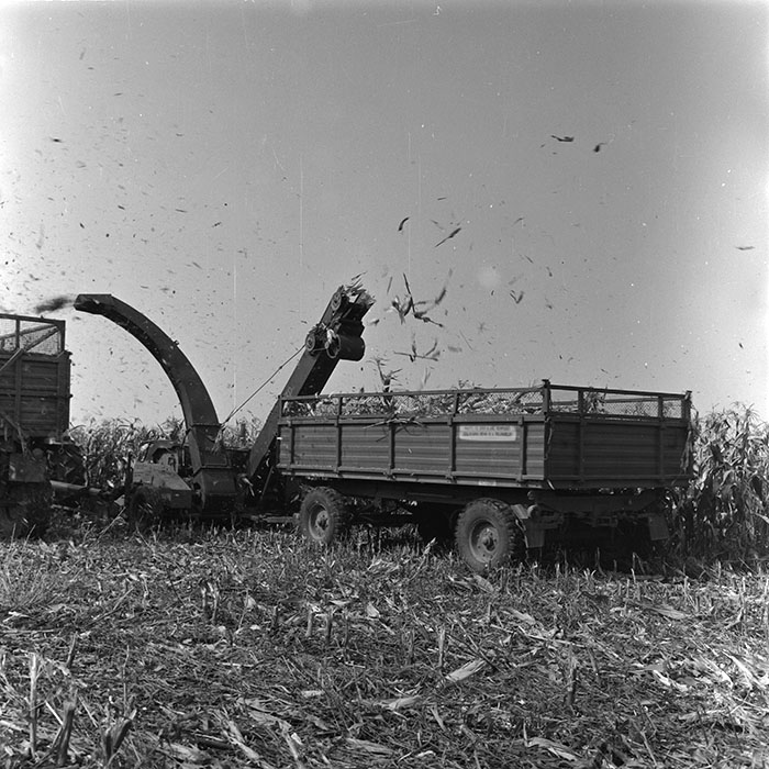 minerva_agricultura_1_c1r3_009