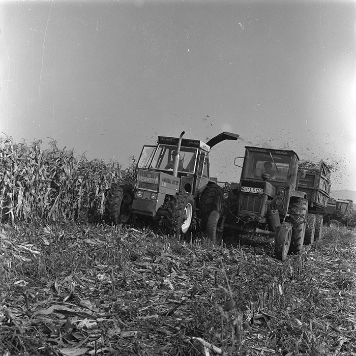 minerva_agricultura_1_c1r3_010