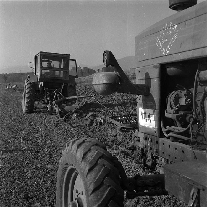 minerva_agricultura_1_c2r1_002