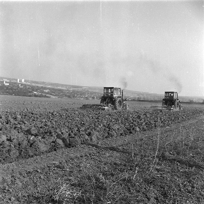 minerva_agricultura_1_c2r1_003