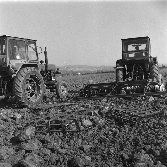 minerva_agricultura_1_c2r1_004