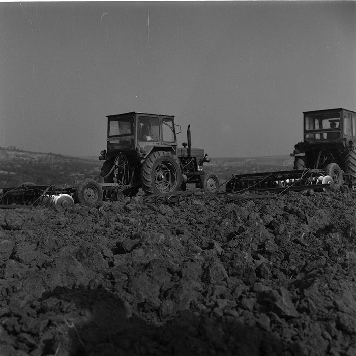 minerva_agricultura_1_c2r1_005