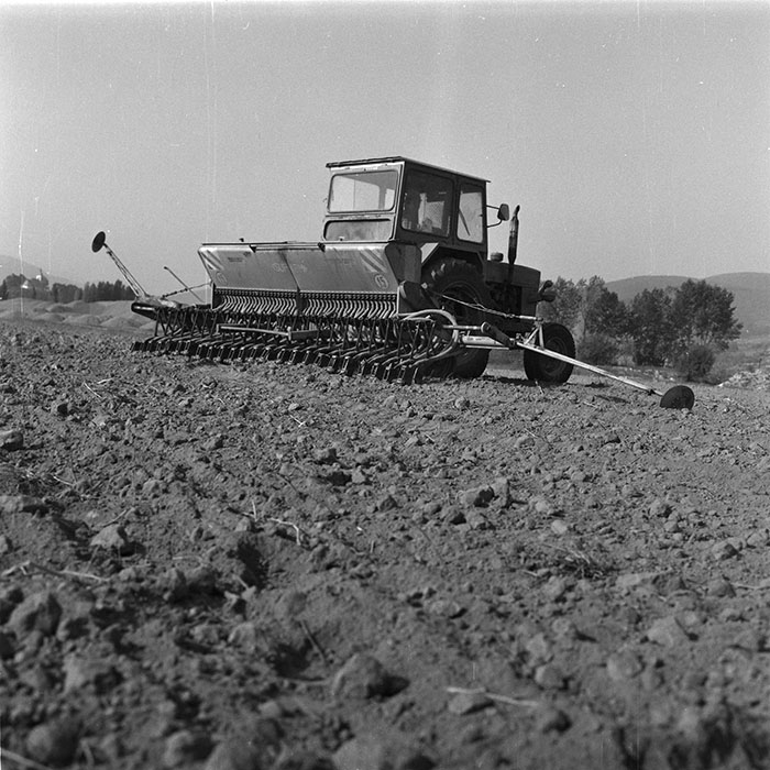 minerva_agricultura_1_c2r1_008