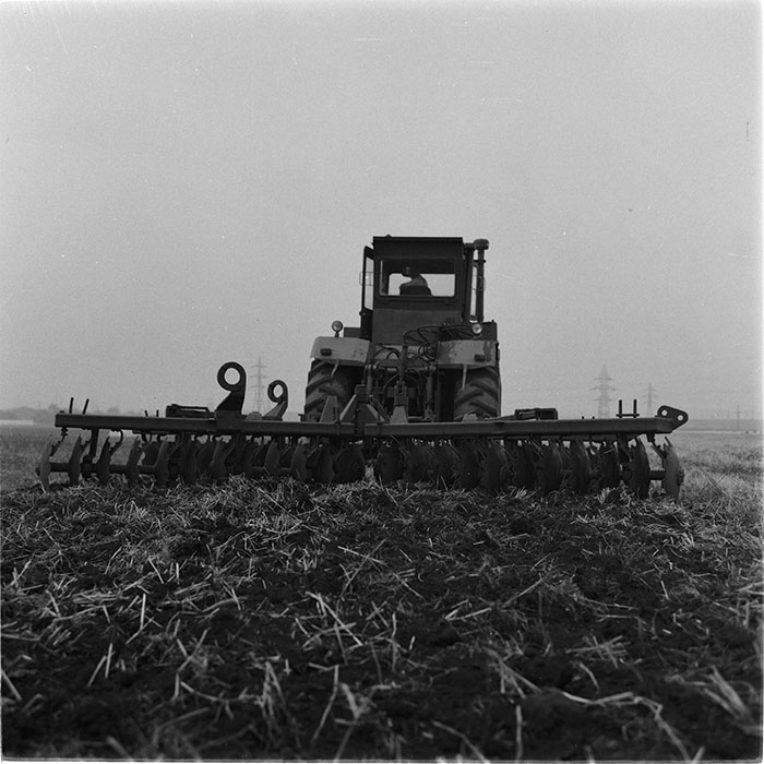 minerva_agricultura_1_c2r2_001