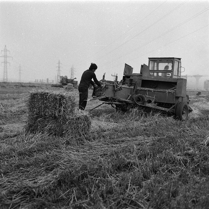 minerva_agricultura_1_c2r2_005