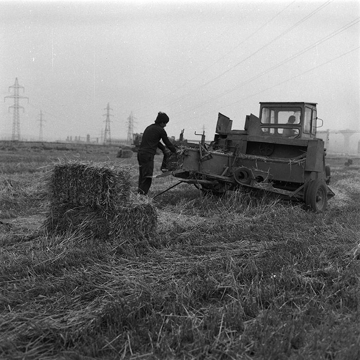 minerva_agricultura_1_c2r2_006