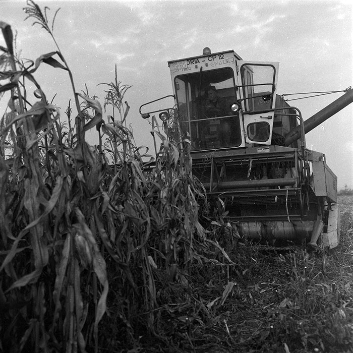 minerva_agricultura_1_c2r3_003