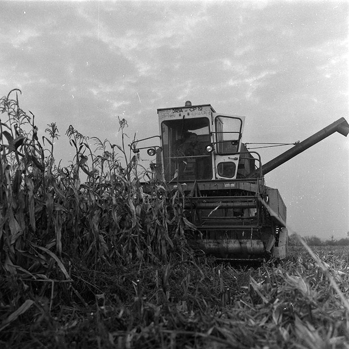 minerva_agricultura_1_c2r3_004