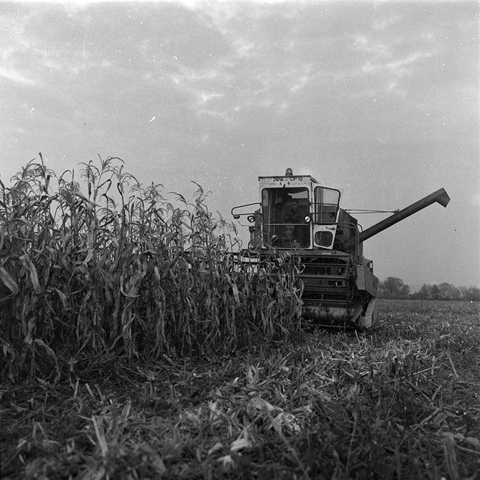 minerva_agricultura_1_c2r3_005