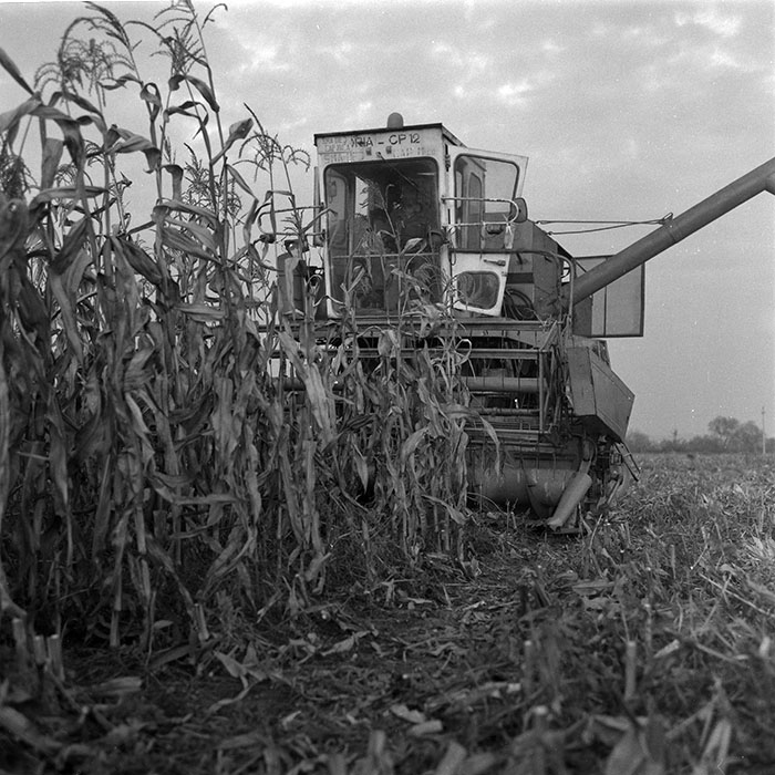 minerva_agricultura_1_c2r3_006